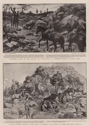 Der Krieg in Südafrika